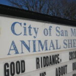 San Marcos Regional Animal Shelter Adoption