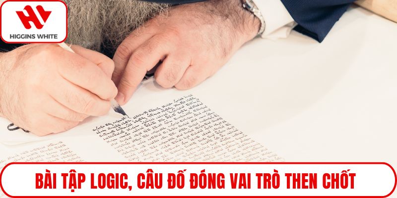 Bài tập logic, câu đố đóng vai trò then chốt