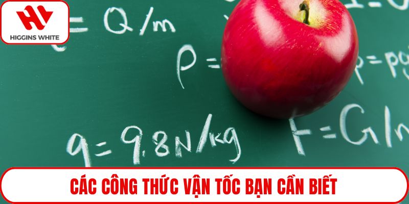 Các công thức vận tốc bạn cần biết