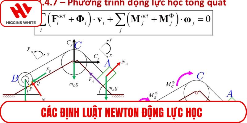 Các định luật Newton động lực học