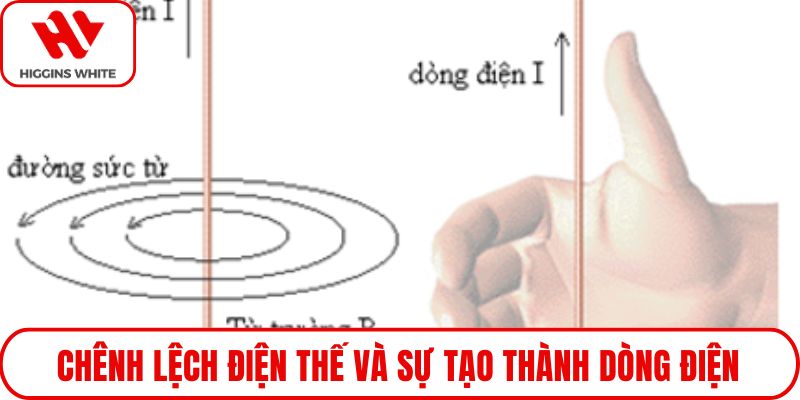 Chênh lệch điện thế và sự tạo thành dòng điện