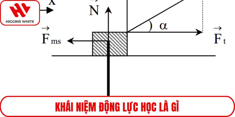 Khái niệm động lực học là gì