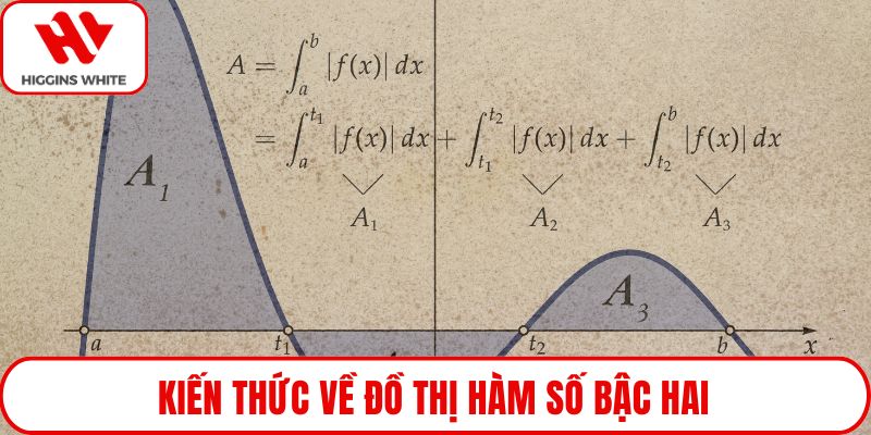 Kiến thức về đồ thị hàm số bậc hai