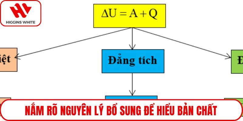 Nắm rõ nguyên lý bổ sung để hiểu bản chất