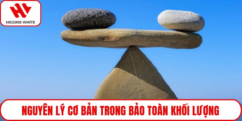 Nguyên lý cơ bản trong bảo toàn khối lượng