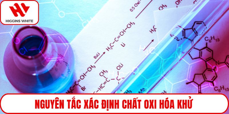 Nguyên tắc xác định chất oxi hóa khử