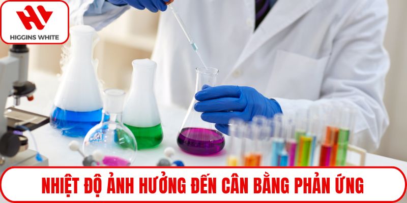 Nhiệt độ ảnh hưởng đến cân bằng phản ứng