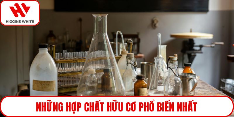Những hợp chất hữu cơ phổ biến nhất