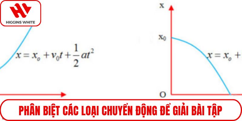 Phân biệt các loại chuyển động để giải bài tập