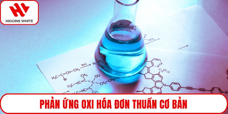 Phản ứng oxi hóa đơn thuần cơ bản