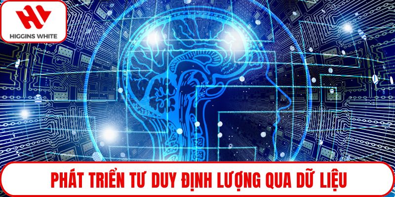 Phát triển tư duy định lượng qua dữ liệu