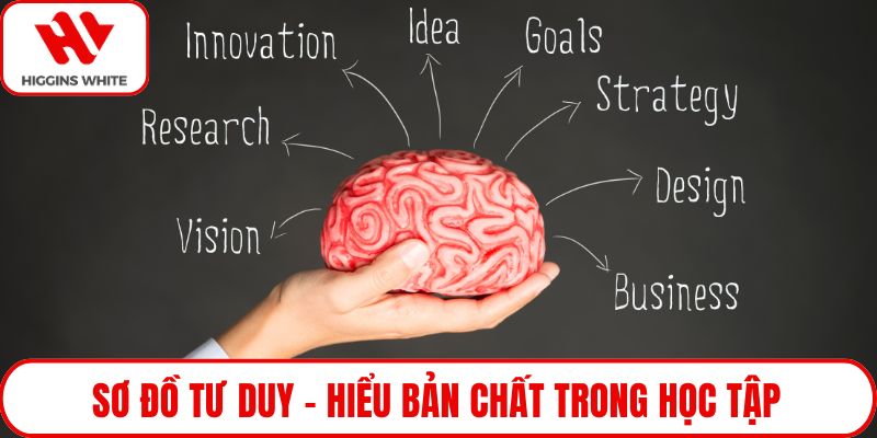 Sơ đồ tư duy