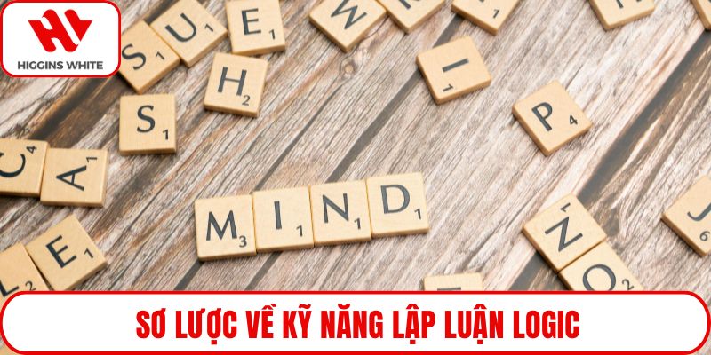 Sơ lược về kỹ năng lập luận logic