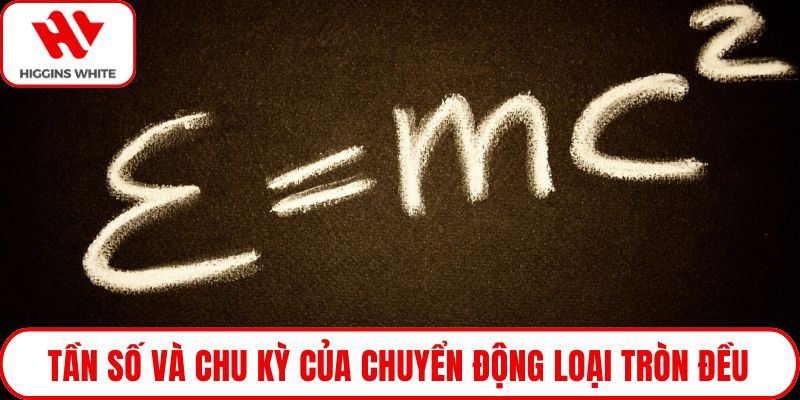 Tần số và chu kỳ của chuyển động loại tròn đều