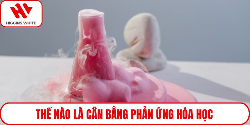 Thế nào là cân bằng phản ứng hóa học