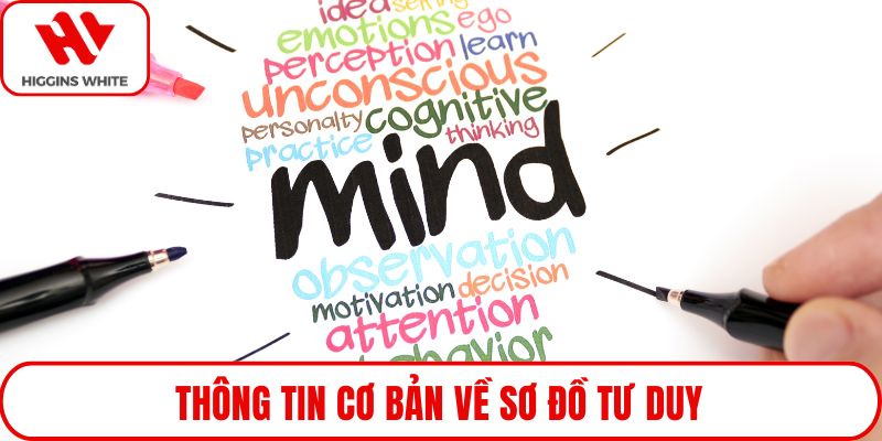 Thông tin cơ bản về sơ đồ tư duy