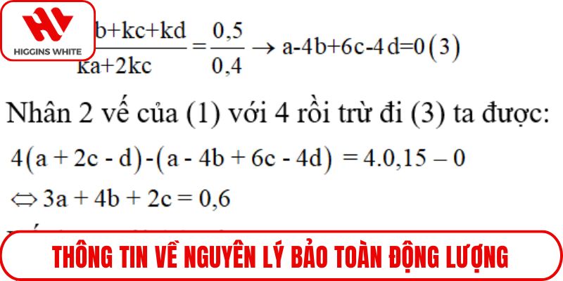 Thông tin về nguyên lý bảo toàn động lượng