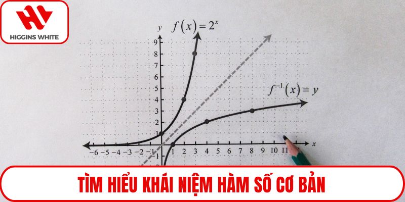 Tìm hiểu khái niệm hàm số cơ bản