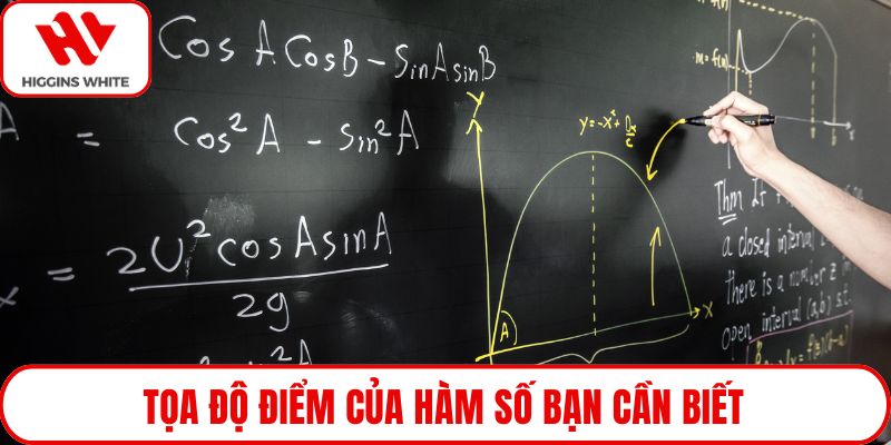 Tọa độ điểm của hàm số bạn cần biết