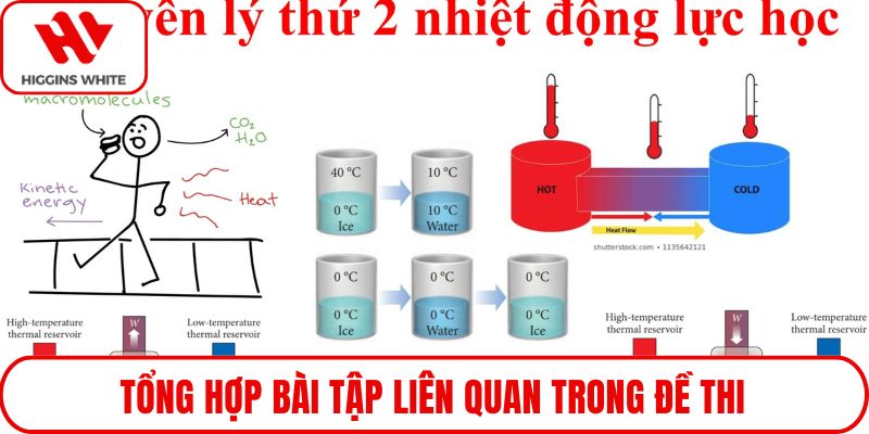 Tổng hợp bài tập liên quan trong đề thi