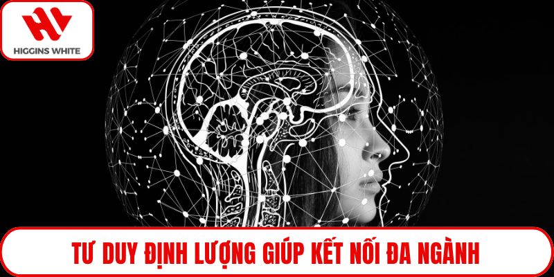 Tư duy định lượng giúp kết nối đa ngành