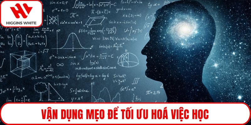 Vận dụng mẹo để tối ưu hoá việc học